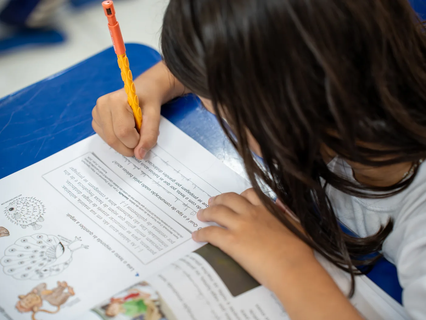 Aluno do Ensino Fundamental do João Paulo